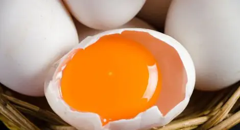 Раздадоха &bdquo;Шнобелови награди&rdquo; за абсурдни постижения в науката