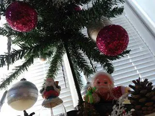 Обявиха първите победители  в студентския фотоконкурс