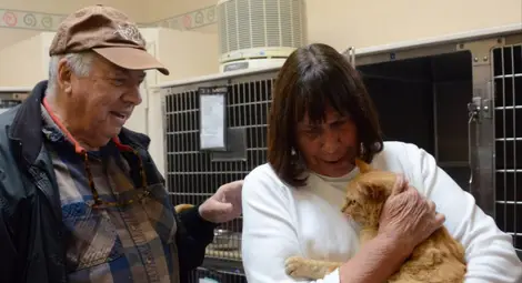 Котка се върна при стопанина си след 8 години