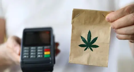 Малта е първата европейска държава, узаконила канабиса за лична употреба