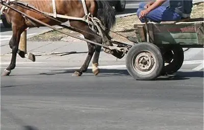 Подплашен кон прати момиченце в болницата с опасност за живота