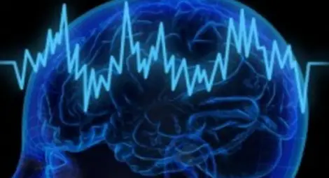 Ученето променя мозъка на молекулярно ниво