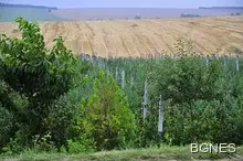 Аграрното министерство: Няма да загубим 1 милиард лева по Програмата за развитие на селските райони