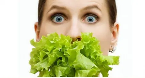 Митология на вегетарианството