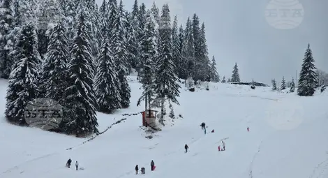 Снимка: БТА