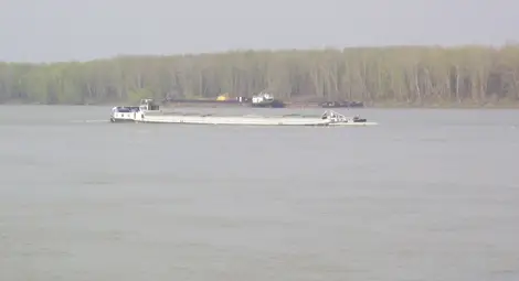 Снимката е илюстративна