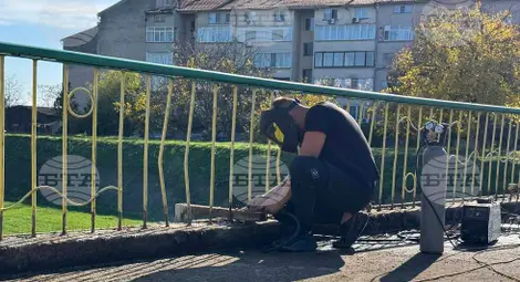 Снимка: БТА Снимка: БТА