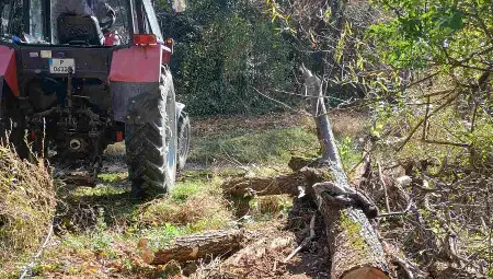 Почистиха коритото на река Черни Лом край село Пепелина&nbsp;от паднали дървета и клони