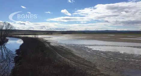 Меката зима в Европа: Икономия на енергия и проклятие за фермерите