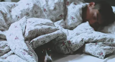 Имате киселини? Спете на лявата си страна Имате киселини? Спете на лявата си страна