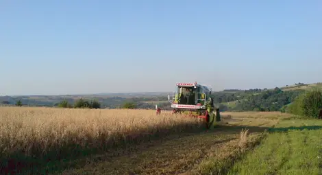 50 лева е средната  рента в община Русе