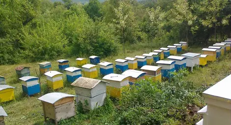 Фонд &bdquo;Земеделие&ldquo; изплати близо  47 милиона лева за агроекология