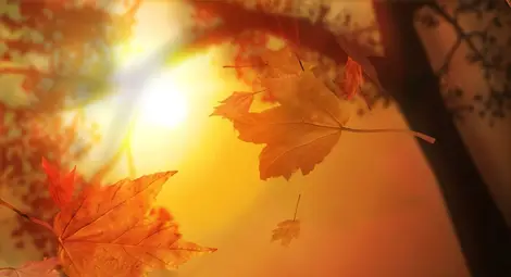 Понеделник започва със слънце