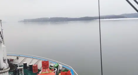 Няма опасност от ледоход в българския участък на река Дунав Няма опасност от ледоход в българския участък на река Дунав