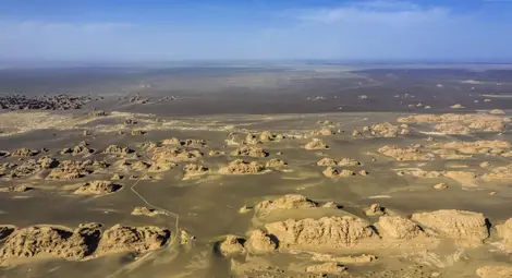 Китай спря да купува земеделска продукция от САЩ Китай спря да купува земеделска продукция от САЩ