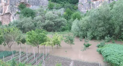 Земеделски земи залeти край Кошов, Червен и Табачка