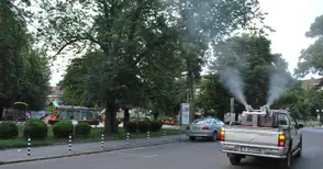 Търсят фирма, която да мори комарите в Русе