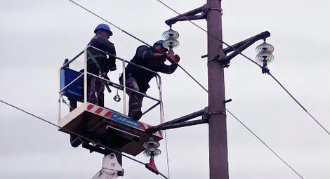 ЕРП Север стартира поставянето на изолационни материали в защита на птиците по проект &bdquo;Безопасно небе за птиците в Североизточна България&ldquo;