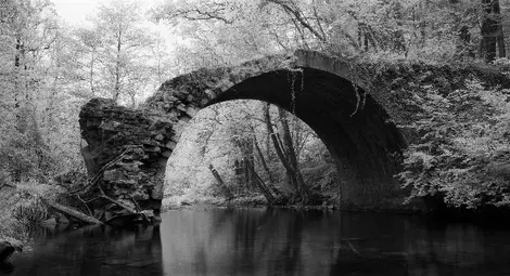 Музеят в Русе показва изложбата „Пътуващият паметник“ - памет за загиналите при опит за бягство от комунизма през границите на България Музеят в Русе показва изложбата „Пътуващият паметник“ - памет за загиналите при опит за бягство от комунизма през границите на България