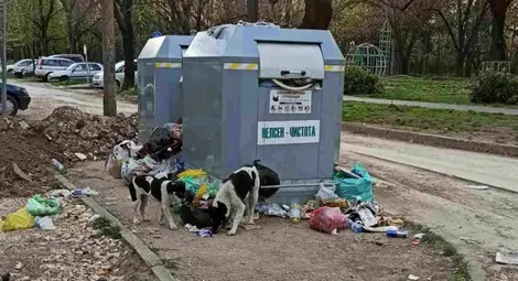 Авария спря сметосъбирането в най-големите квартали на Русе