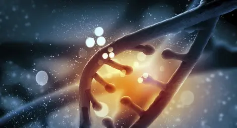 Има връзка между гените и политическите убеждения