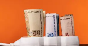 Държавната подкрепа за скъпия ток идва със сметките за януари