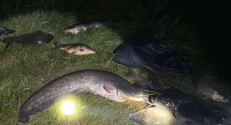 Заловиха бракониери на риба на язовир "Огоста" край Монтана