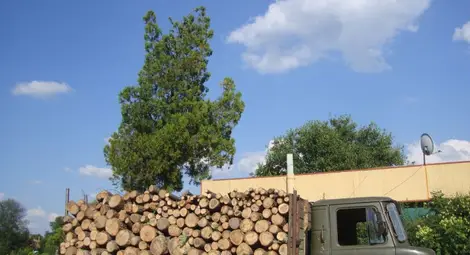 2000 души вече са поискали пари  за топлото през идващата зима