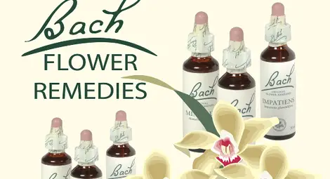 Клуб "Здраве" кани на лекция за цветотерапията в русенската библиотека