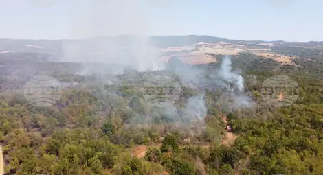 Снимка: БТА