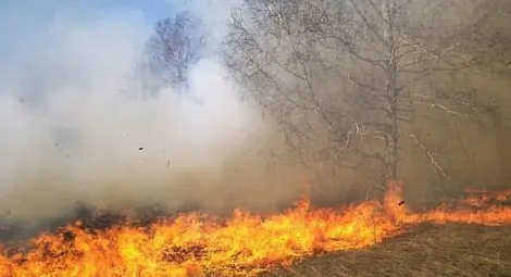 5 тона вода хвърлени за гасене на 64 дка сухи треви 5 тона вода хвърлени за гасене на 64 дка сухи треви