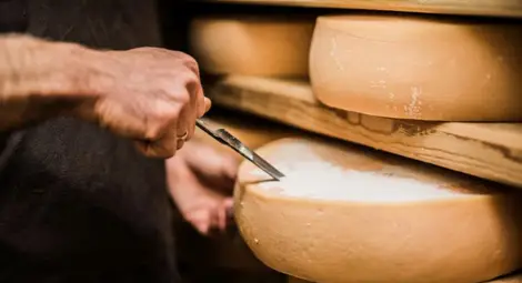 Агенцията по храните откри сирене и кашкавал без мляко