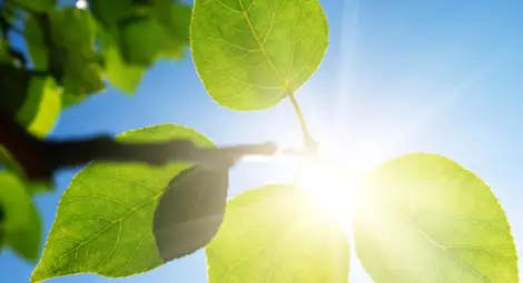 Слънчево и още по-топло