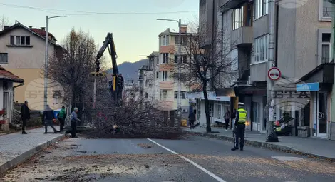 Снимка: БТА Снимка: БТА