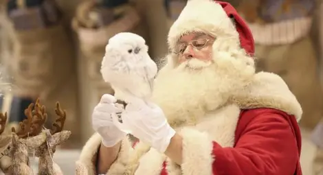 Дядо Коледа фалира