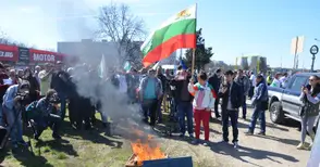 Русенски пчелари протестират в  София заради опасни пестициди