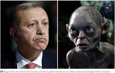 Експертна група ще преценява дали Ердоган прилича на Ам-Гъл