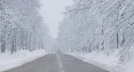 Леден вятър ще носи студ до края на седмицата