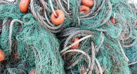 Иззеха са 955 м мрежи и 80 кг риба само за два дни