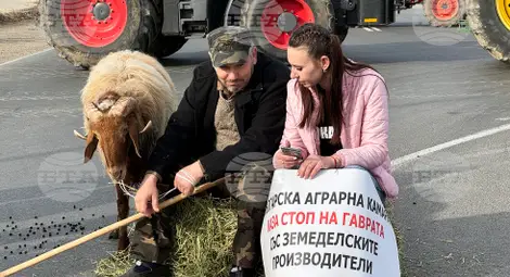 Снимка: БТА