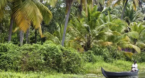 Защо пигмеите са толкова ниски