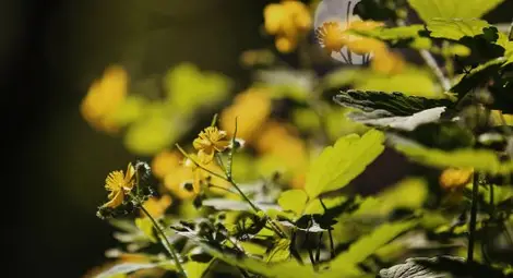 Слънчево, с температури до 26&deg;