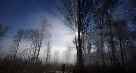 Слънце и топло за Нова година