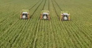 Съвети в земеделието с приемни всеки четвъртък този месец