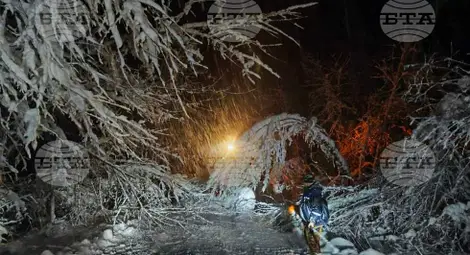 Снимка: БТА Снимка: БТА