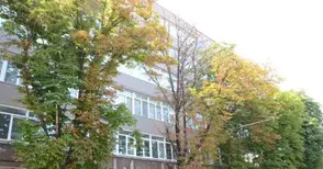 Кестените в Русе масово умират