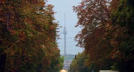 Фирма на "Борисова" обрана за секунди