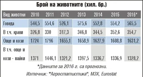 Българинът е изял в кашкавал и сирене палмовото масло от 500 тира