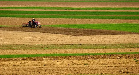 Кандидатите за директни плащания проверяват заявените площи в интернет