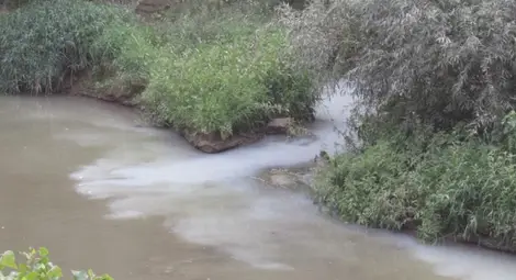 Производител на кори за яйца оцветил водите на Лома в сиво